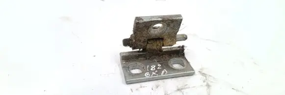 Rear door lower hinge