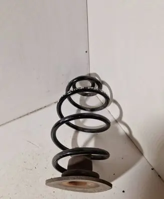 Rear coil spring