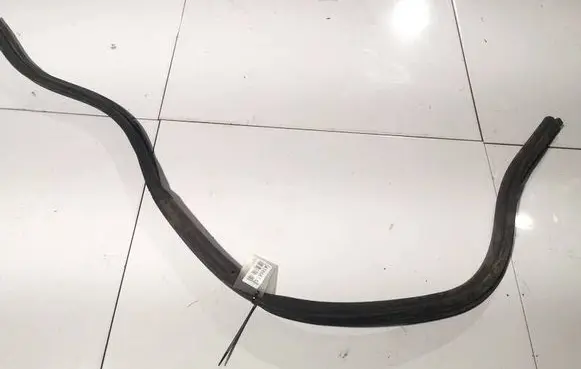 Renault Laguna III Rubber seal front coupe door 