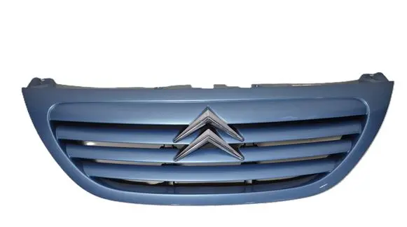 Citroen C3 Front grill