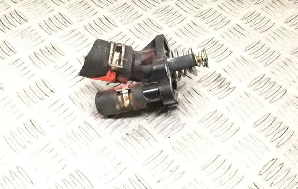 Thermostat/thermostat housing