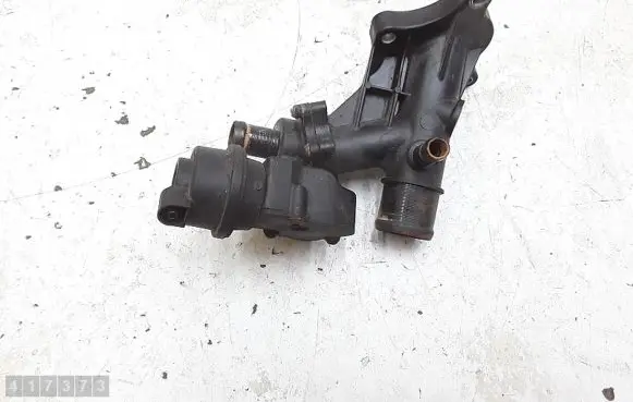 Renault Trafic III (X82) Thermostat 110600686R