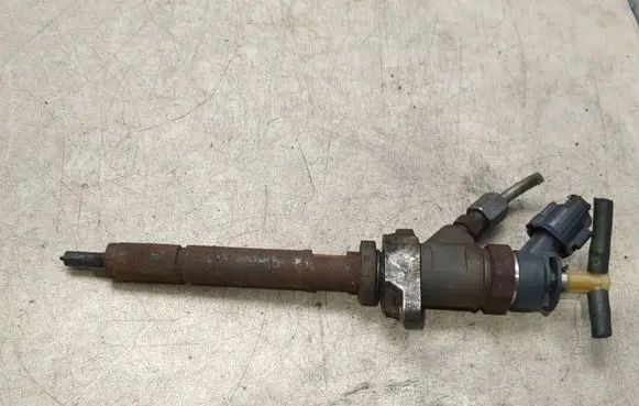 Citroen C3 Fuel injector 0445110311