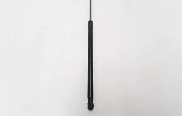 Tailgate strut