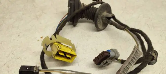 Rear door wiring loom