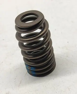 Dodge Challenger Valve spring 5037382BC