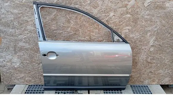 Volkswagen PASSAT B5.5 Front door 