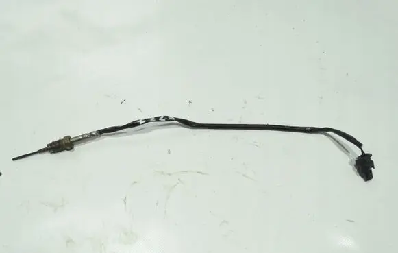 BMW X1 F48 F49 Exhaust gas temperature sensor 7543312