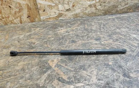 Tailgate/trunk strut/damper