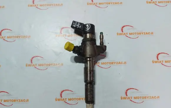 Citroen DS4 Fuel injector 9802448680