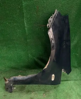 Fiat Punto Evo Fender