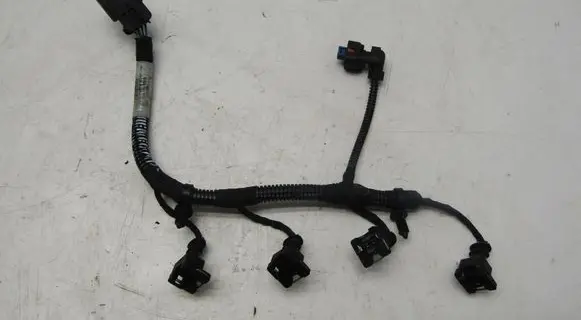 Other wiring loom