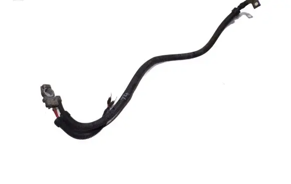 Volkswagen Transporter - Caravelle T4 Negative earth cable (battery) 7D1971228