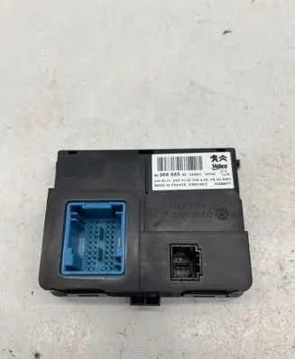 Peugeot Partner III Other control units/modules 9836666580 E1065901C E254106C