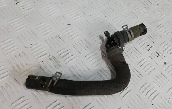 Dacia Sandero Engine coolant pipe/hose 924102077R