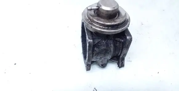 Volkswagen Phaeton EGR valve 07Z131501A 345211012