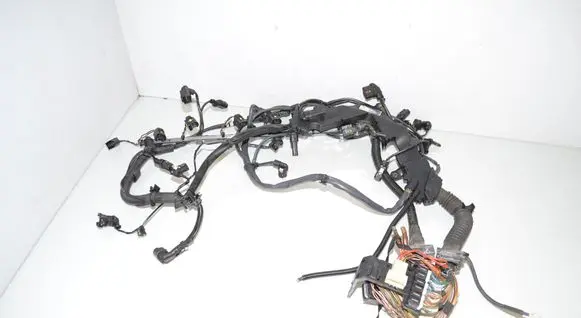 Engine installation wiring loom
