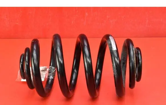Rear coil spring