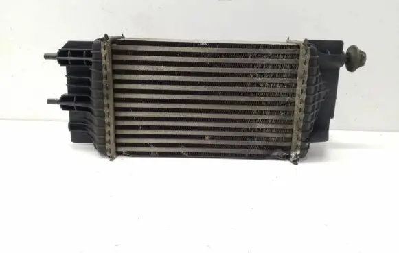 Nissan Juke I F15 Intercooler radiator CY178003