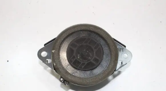 Lexus GS 250 350 300H 450H Panel speaker 861600WV80 8924004601A