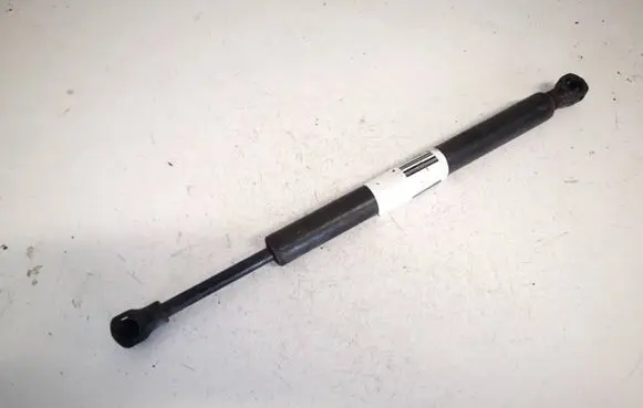 Tailgate/trunk strut/damper