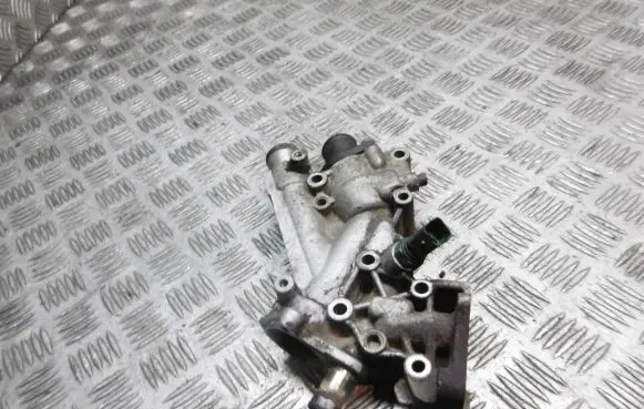 Thermostat/thermostat housing