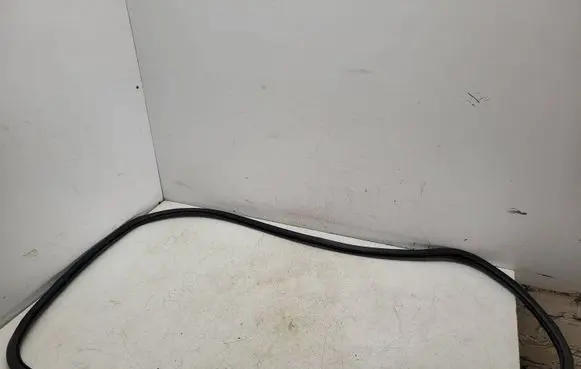 Volkswagen PASSAT B6 Front door rubber seal