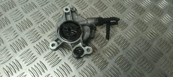Peugeot 308 Vacuum pump D1651A 05125