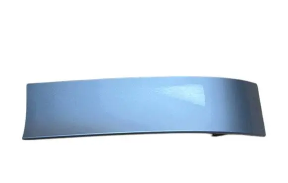 Rear/tail light trim molding