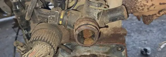 Engine coolant pipe/hose