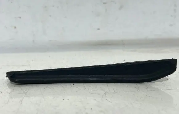 Rear bumper trim bar molding