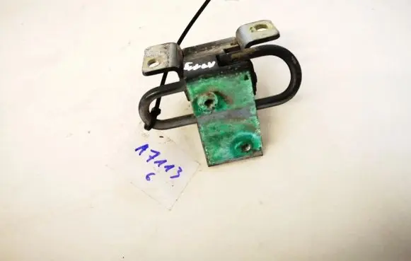 Rear door lower hinge