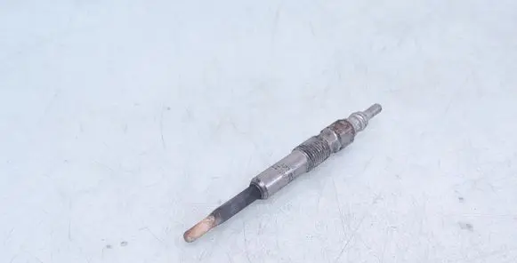 Volkswagen PASSAT B6 Glow plug 0250402005