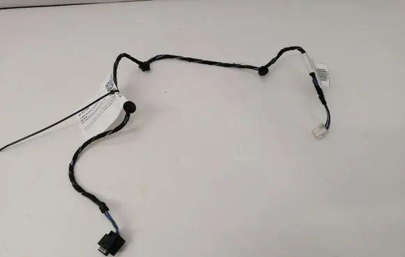 Front door wiring loom