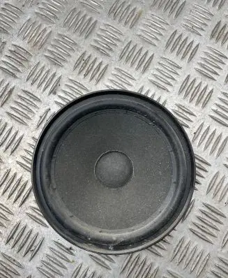 Rear door speaker