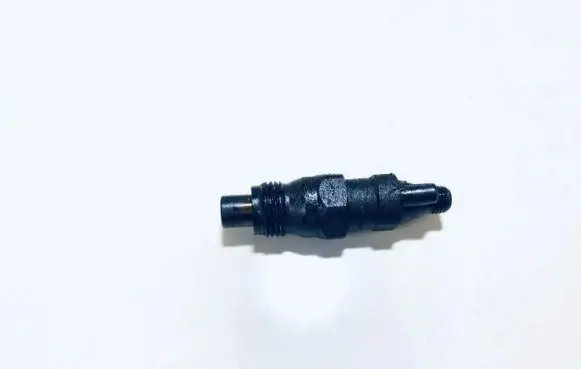 Peugeot 406 Fuel injector kca17s42