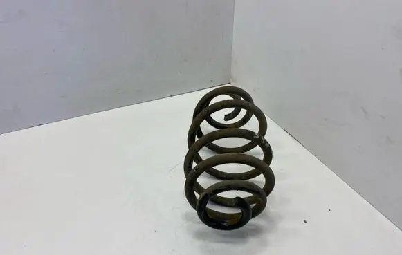 Opel Insignia A Rear coil spring 