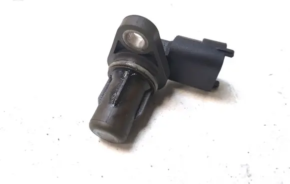 Hyundai Santa Fe Air pressure sensor 393002F100