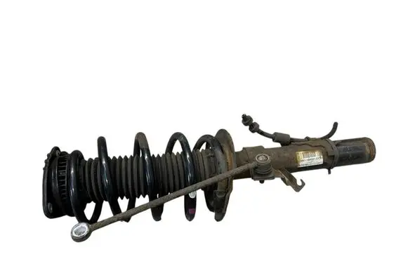 Ford Kuga II Front shock absorber with coil spring CV6118K001DCB