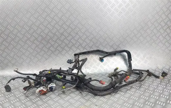 Ford Fiesta Engine installation wiring loom