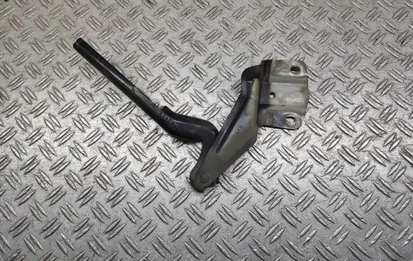 Volkswagen Jetta VI Engine bonnet/hood hinges 5C6823302