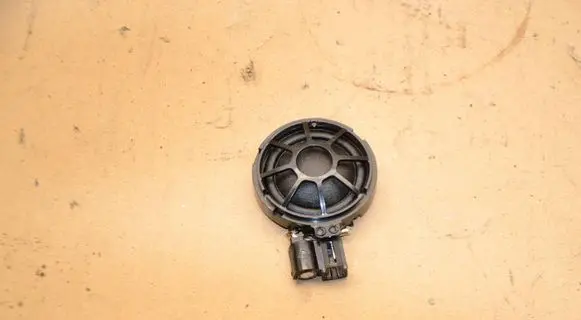 Front door speaker