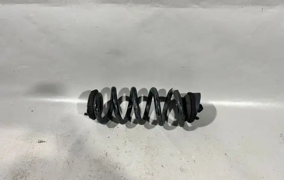 Rear coil spring
