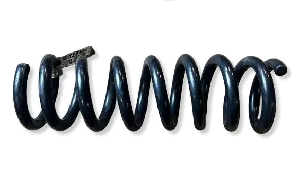 Dodge Charger Rear coil spring 05168889AC