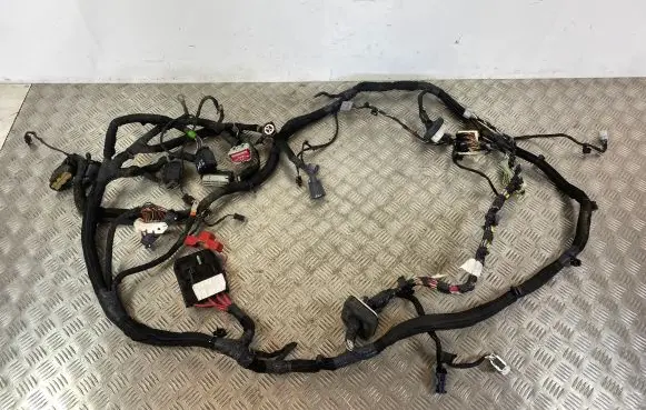 Engine installation wiring loom