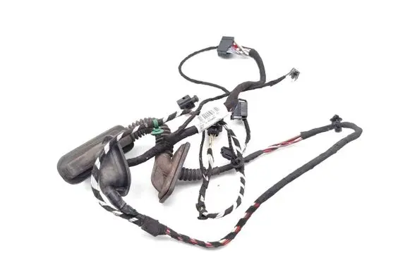 Volkswagen PASSAT CC Rear door wiring loom 3C8971694DM