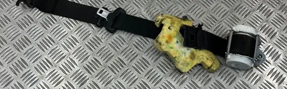 BMW 3 E90 E91 Front seatbelt 33059848