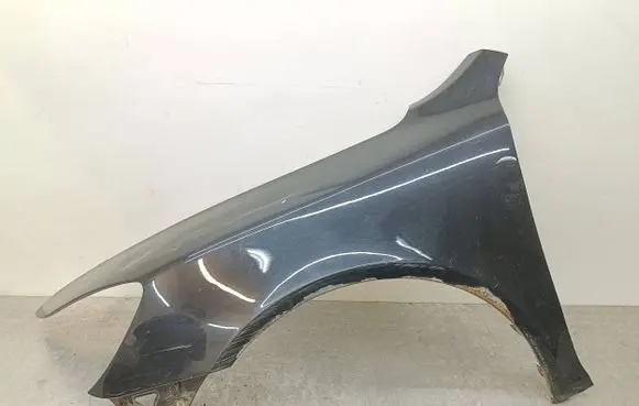 Skoda Octavia Mk2 (1Z) Fender