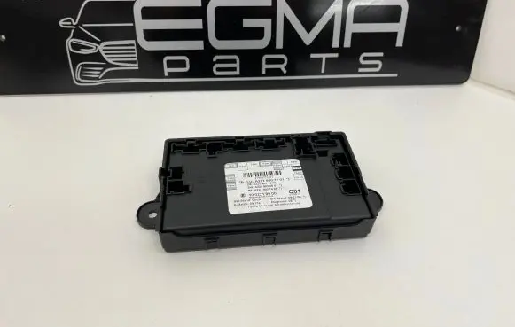 Mercedes-Benz S W221 Door control unit/module A2219007701 1002219900 A2219024501