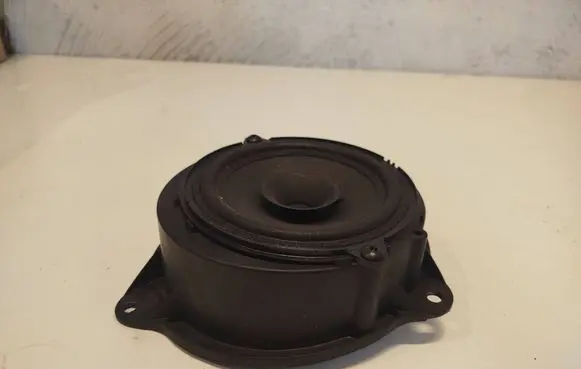 Renault Kangoo II Front door speaker 8200495686 09MFU8200686